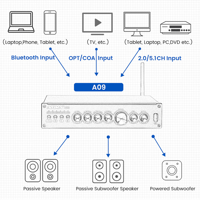 Aiyima AIYIMA A09 variant 5