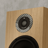 Marten Dexter Duo variant 5