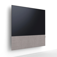 Canvas CANVAS front 65 variant 27