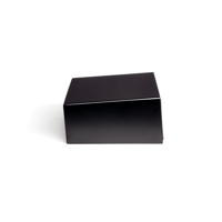 MartinLogan ElectroMotion  FX2 variant 46