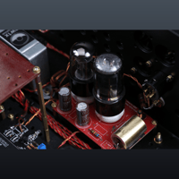 SW1x DAC X variant 13