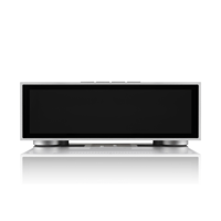 Hifi Rose - USA RS520 variant 4