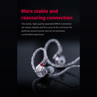 FiiO LC-RB variant 5