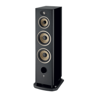 Focal Aria Evo X N°4 variant 7