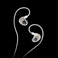 TRUTHEAR TRUTHEAR GATE In-ear Monitor variant 13