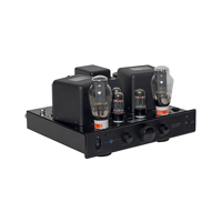 Cary Audio CAD-300SEI Integrated Amplifier variant 7