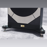 ThivanLabs GRAND OPEN – BLACK DIAMOND variant 4