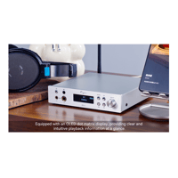 Cayin BTC-2 variant 17