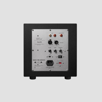 Starke Sound SW10 10" Subwoofer variant 4
