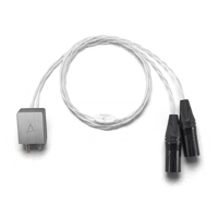 Astell & Kern PEF21 variant 1