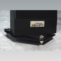 ThivanLabs GRAND OPEN – BLACK DIAMOND variant 3