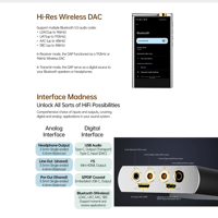 Cayin N7+ variant 16