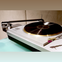 Supatrac Blackbird variant 16