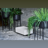 Spottune Sub variant 5