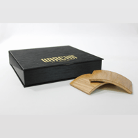 Gingko Audio Mini-ARCH variant 2