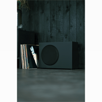 Buchardt Audio SUB10 variant 12