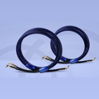 Connected Fidelity Unity Two variant 3