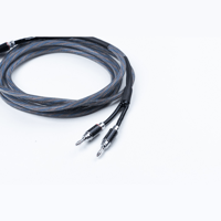 Pro-ject Audio Systems - USA Connect it LS RS variant 4
