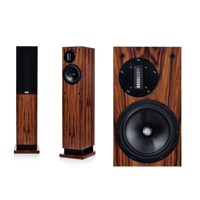 ProAc Loudspeakers Response D20/D/R variant 7