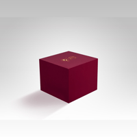 DITA Audio Project 71 variant 6