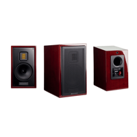 MartinLogan Motion AFX variant 27