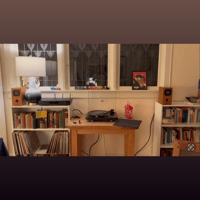 Blumenstein Audio Orca 3" Monitors variant 8