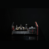SW1x LPU I Phono Pre-Amplifier variant 8