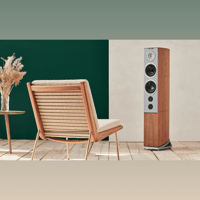 Audiovector R 6 variant 15