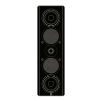 Perlisten X5w variant 3