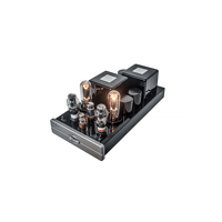 Cary Audio CAD-211FE Amplifier variant 3