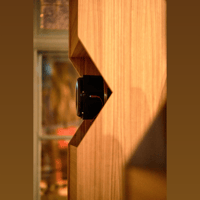 Pitt & Giblin TENET variant 5