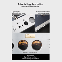 Cayin HA-6A variant 9