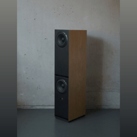 Guru Audio Guru 28 variant 2