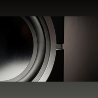 MartinLogan Dynamo 10 variant 2