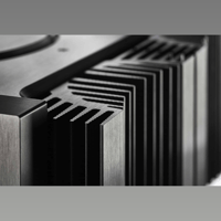 Gryphon Audio Antileon REVELATION variant 9