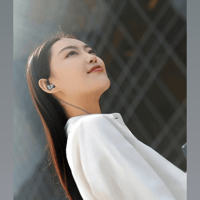 Sennheiser IE 200 Silver variant 4