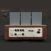 ThivanLabs TMS-9 Premium variant 9