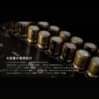 Oriolus Luxury&Precision EA4 variant 11