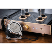 HeadAmp Blue Hawaii Special Edition Electrostatic Headphone Amplifier variant 19