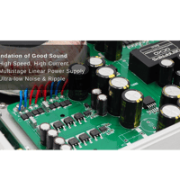 Denafrips Arcas Streamer variant 8