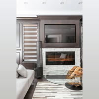 MartinLogan ElectroMotion  ESL X variant 5