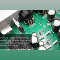 Denafrips Arcas Streamer variant 9