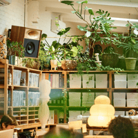 Pitt & Giblin LIVI variant 2