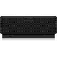 Tannoy LIVE MINI variant 5