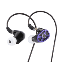 RAPTGO Raptgo Bridge 2BA+2DD+PZT Tribrid In-Ear Monitor IEM Earphone variant 8