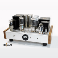ThivanLabs Special ultimate monoblock 845PP Amplifiers variant 10
