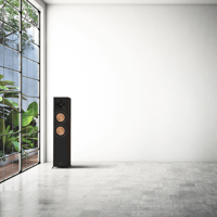 Klipsch RP-6000F II variant 12