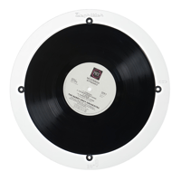 Degritter 10 Inch Record Adapter variant 1