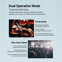 Cayin N3Pro variant 4