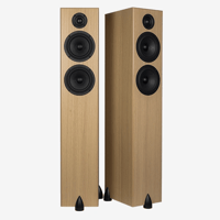 Totem Acoustic Bison Twin Tower variant 7
